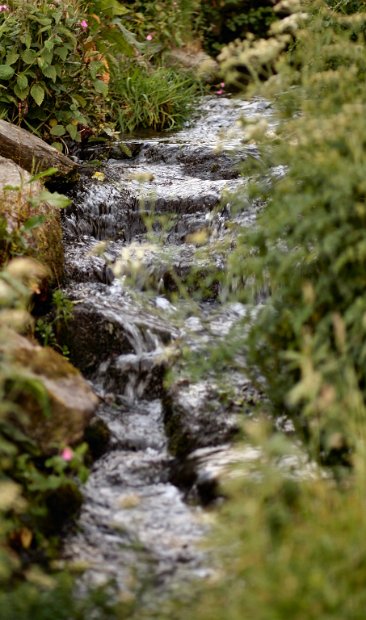 Tintagel Castle Creek 2006-06-05@1228-18